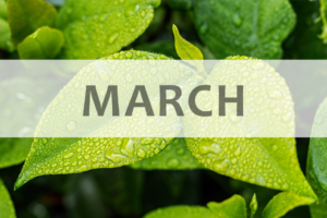 March Health Tips and National Observations
