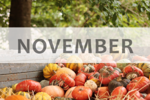 November 2022 Health Tips and National Observations